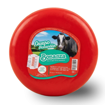 Queso Madurado Holandés